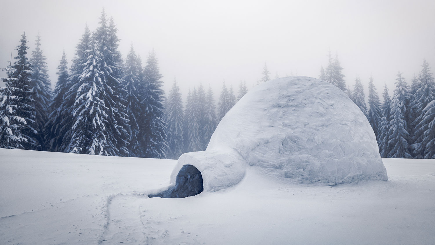 Iglo's bouwen in het besneeuwde landschap van de Tiroler Zugspitz